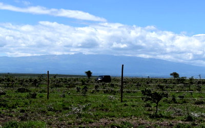 50x100 Plot with Garden at KSh 330K
