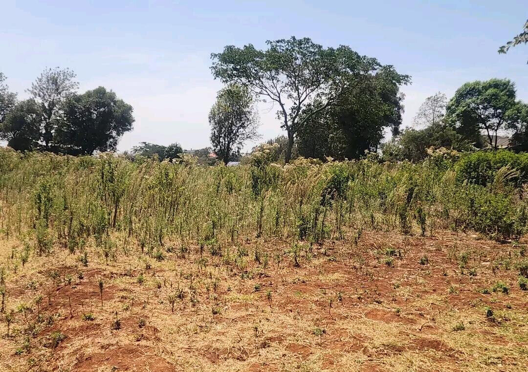 KSh 8M Garden Plot with Parking