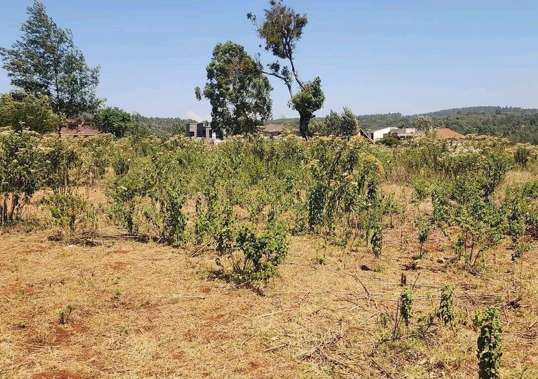 KSh 8M Garden Plot with Parking
