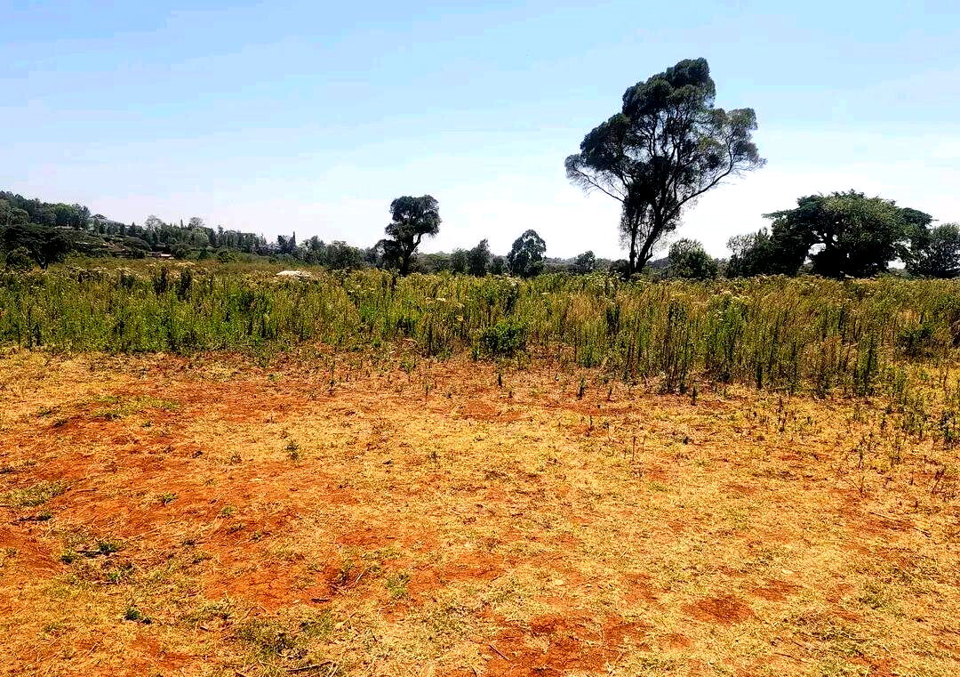 KSh 8M Garden Plot with Parking