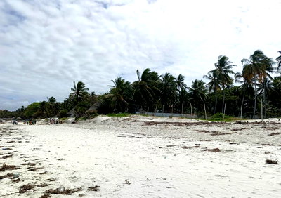 4-Acre Beachfront with Garden