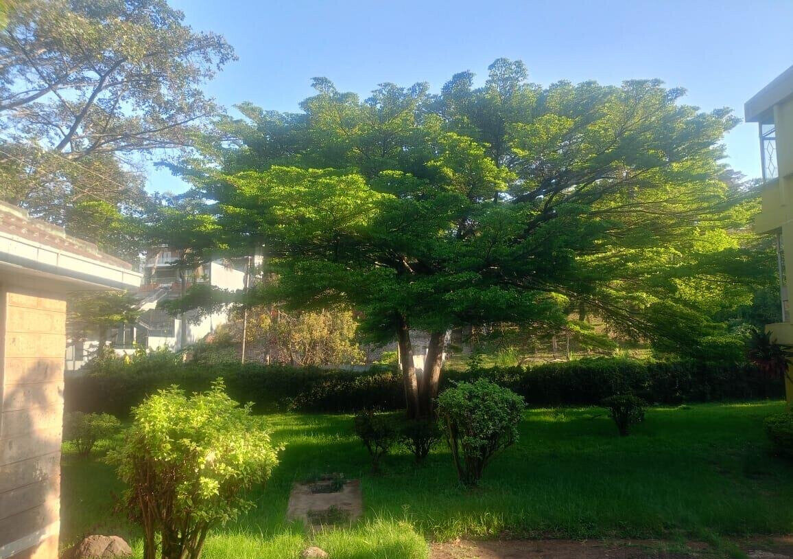 1.1 Acre Lavington Gem at KSh 220M