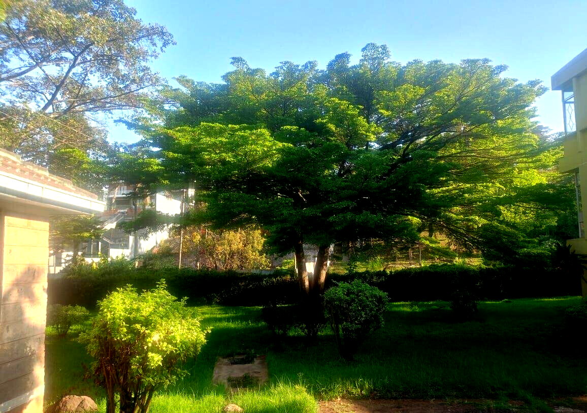 1.1 Acre Lavington Gem at KSh 220M