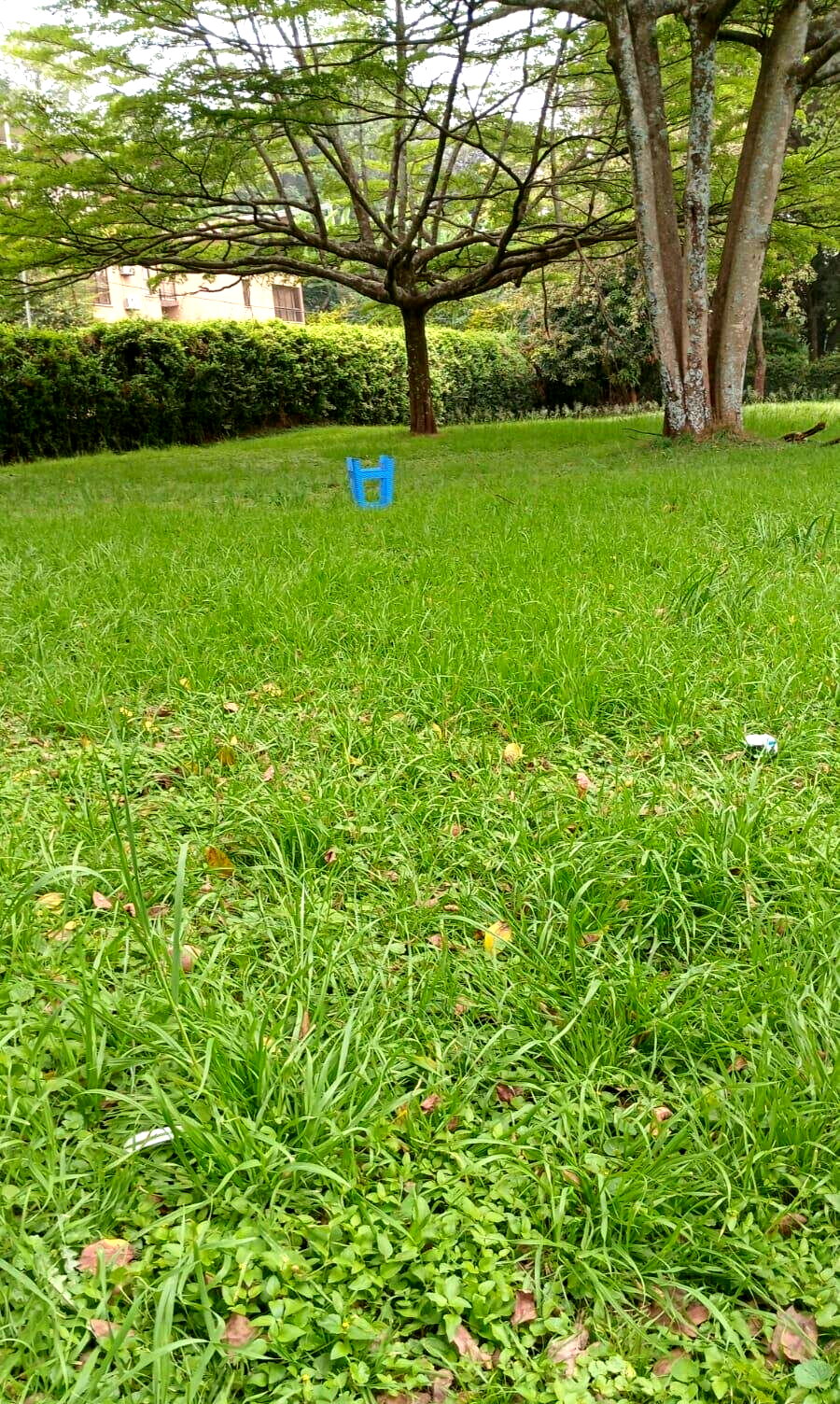 1.1 Acre Lavington Gem at KSh 220M