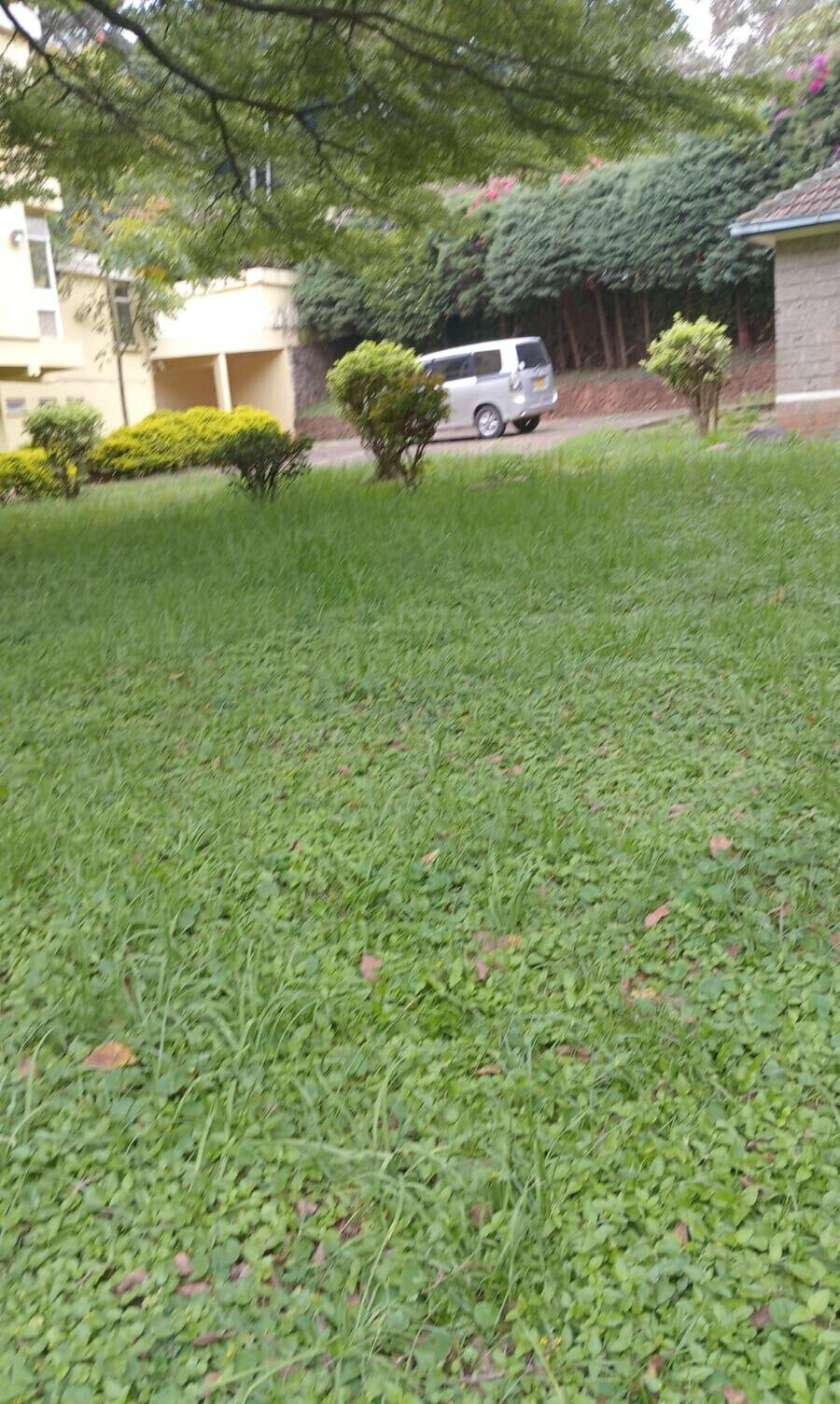 1.1 Acre Lavington Gem at KSh 220M