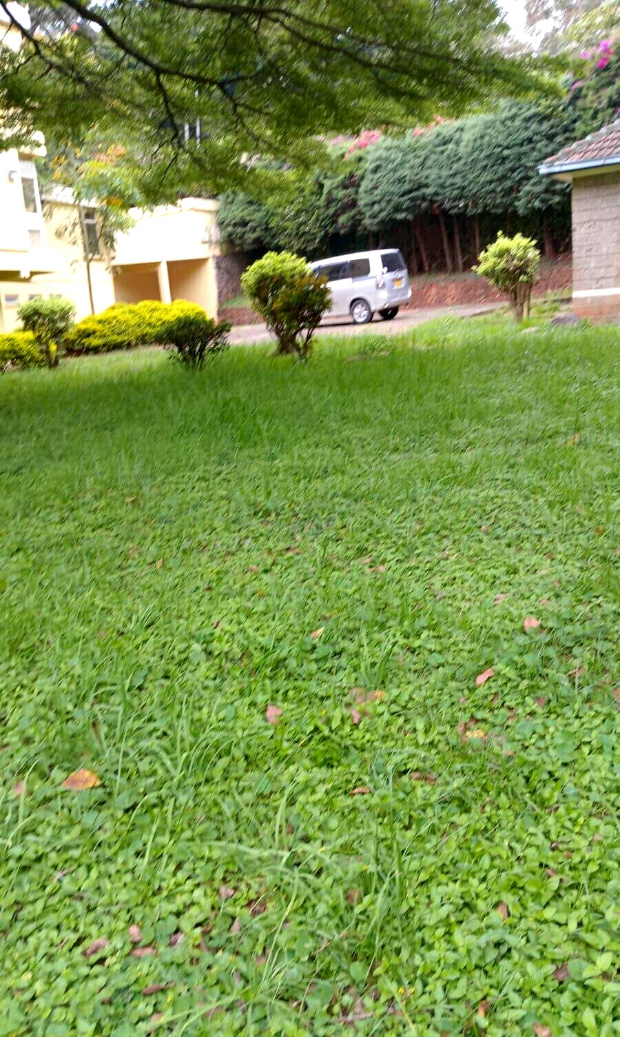 1.1 Acre Lavington Gem at KSh 220M
