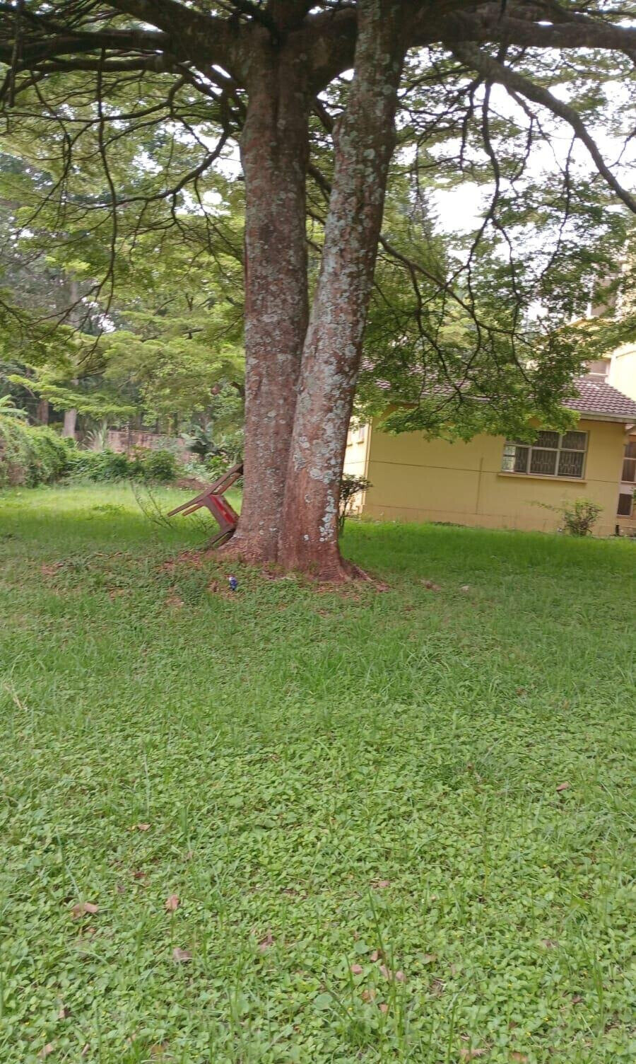 1.1 Acre Lavington Gem at KSh 220M