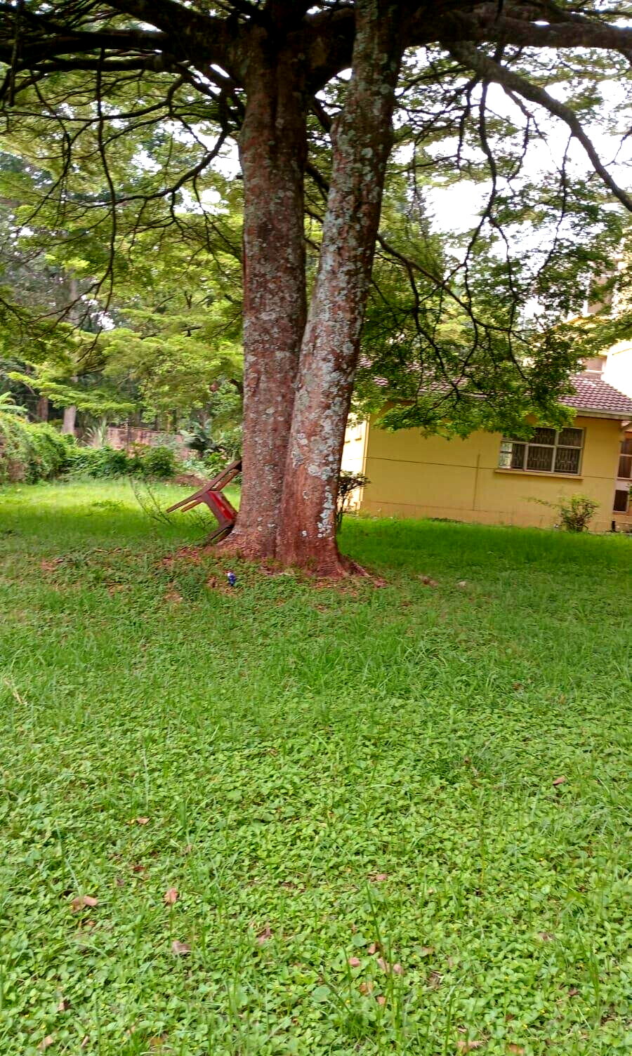 1.1 Acre Lavington Gem at KSh 220M