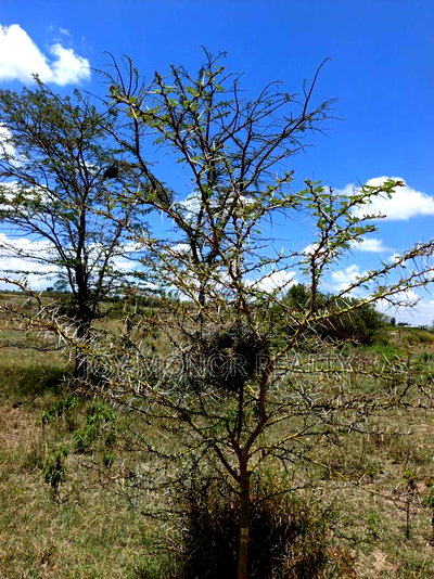 6acres Block Mountain Retreat - Image 1