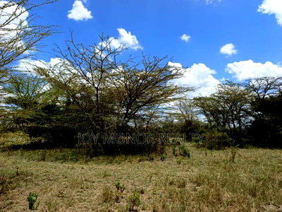 6acres Block Mountain Retreat - Image 2