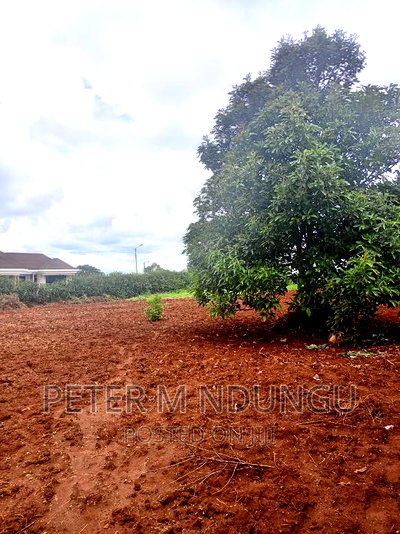 Prime Half Acre, Runda Mumwe - Image 10