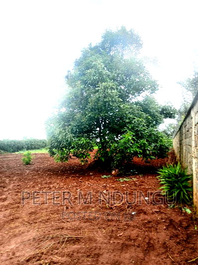 Prime Half Acre, Runda Mumwe - Image 11