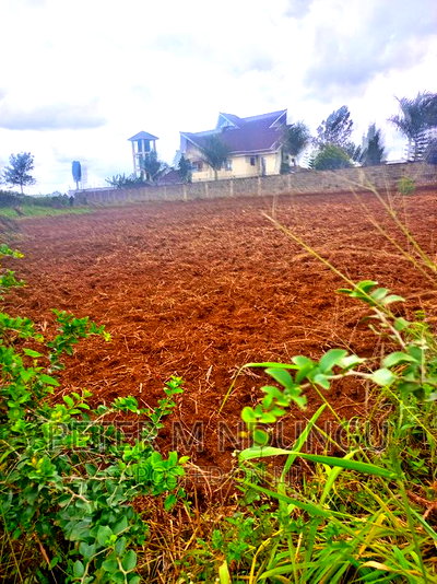 Prime Half Acre, Runda Mumwe - Image 3