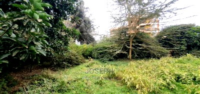 Rongai 1/4acre to Develop - Image 5