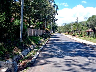 3.6m Acreas Nanyuki Mt Kenya - Image 2