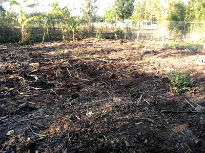 3bdrm Bungalow in Kiserian Off Magadi for sale - Image 5