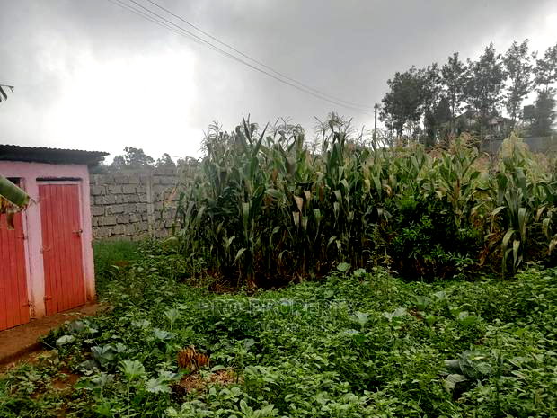 Plot in Kikuyu, Gikambura.