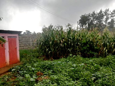 Plot in Kikuyu, Gikambura. - Image 5