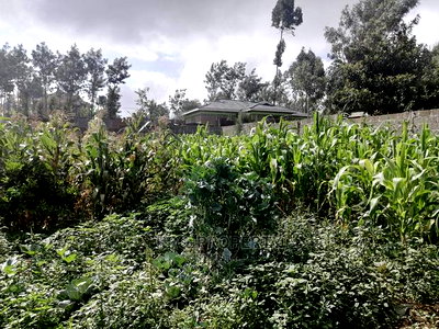 Plot in Kikuyu, Gikambura. - Image 14