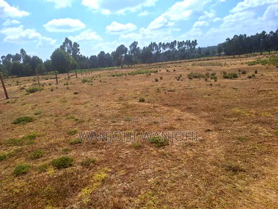 Very Prime Plots in Leshau Nyandarua County - Image 2