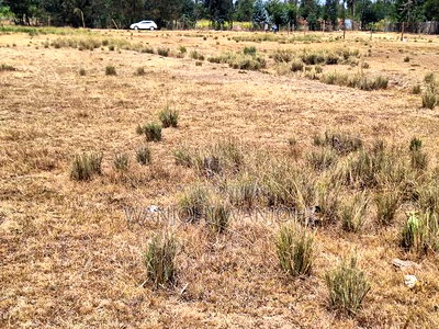 Very Prime Plots in Leshau Nyandarua County - Image 3