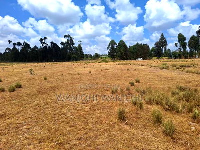Very Prime Plots in Leshau Nyandarua County - Image 5