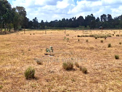 Very Prime Plots in Leshau Nyandarua County - Image 4