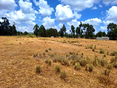 Very Prime Plots in Leshau Nyandarua County - Image 6