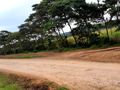 Gilgil Plots on Sale Gilgil Gema ( Along Gema-Eburru Road Kuipasa) - Image 3