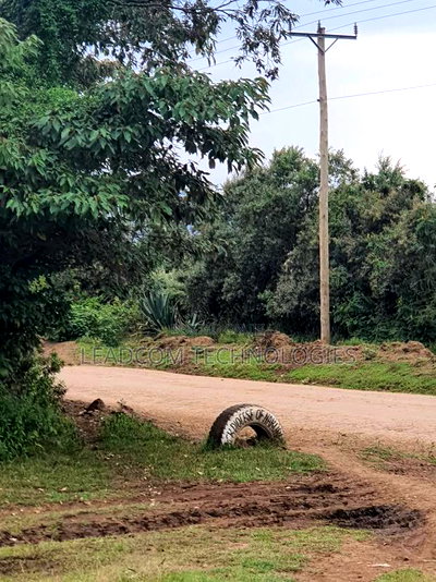 Gilgil Plots on Sale Gilgil Gema ( Along Gema-Eburru Road Kuipasa) - Image 7