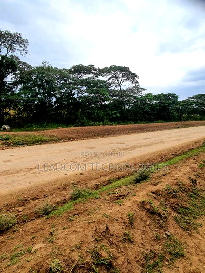 Gilgil Plots on Sale Gilgil Gema ( Along Gema-Eburru Road Kuipasa) - Image 17