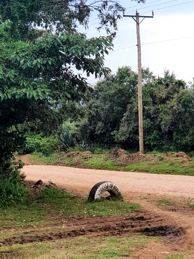 Gilgil Plots on Sale Gilgil Gema ( Along Gema-Eburru Road Kuipasa) - Image 20