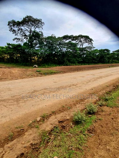 Gilgil Plots on Sale Gilgil Gema ( Along Gema-Eburru Road Kuipasa) - Image 15