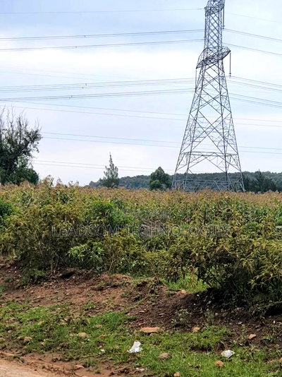 Gilgil Plots on Sale Gilgil Gema ( Along Gema-Eburru Road Kuipasa) - Image 8
