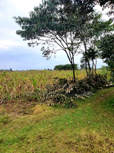 Gilgil Plots on Sale Gilgil Gema ( Along Gema-Eburru Road Kuipasa) - Image 18