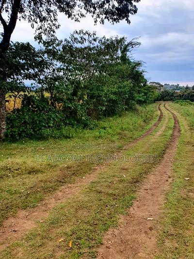 Gilgil Plots on Sale Gilgil Gema ( Along Gema-Eburru Road Kuipasa) - Image 19