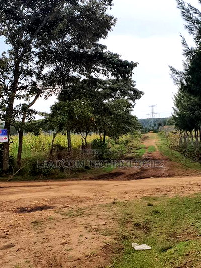 Gilgil Plots on Sale Gilgil Gema ( Along Gema-Eburru Road Kuipasa) - Image 4