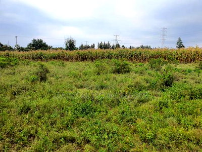 Gilgil Plots on Sale Gilgil Gema ( Along Gema-Eburru Road Kuipasa) - Image 14