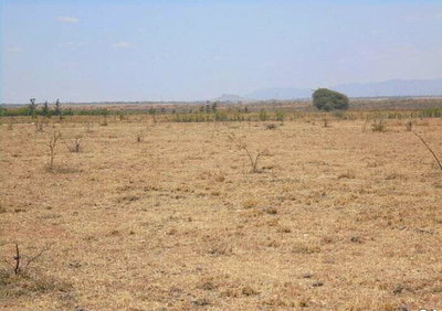 1.1-Acre Garden Plot for Sale