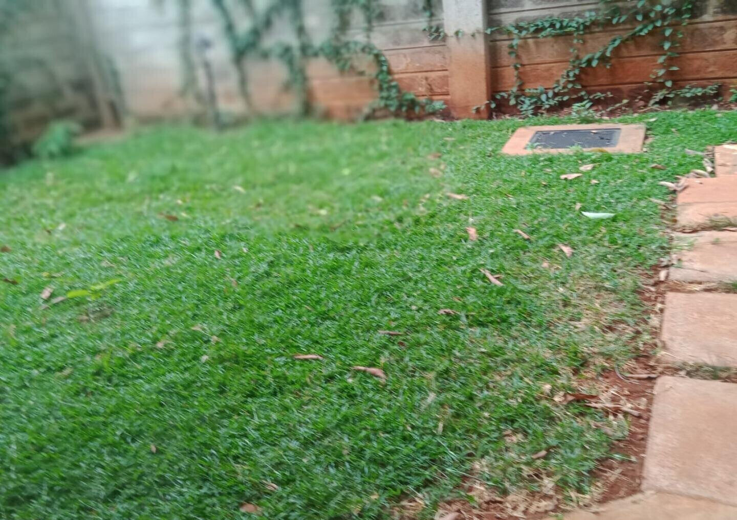 Brand New 5-Ensuite Townhouse with 2 DSQs - Lavington