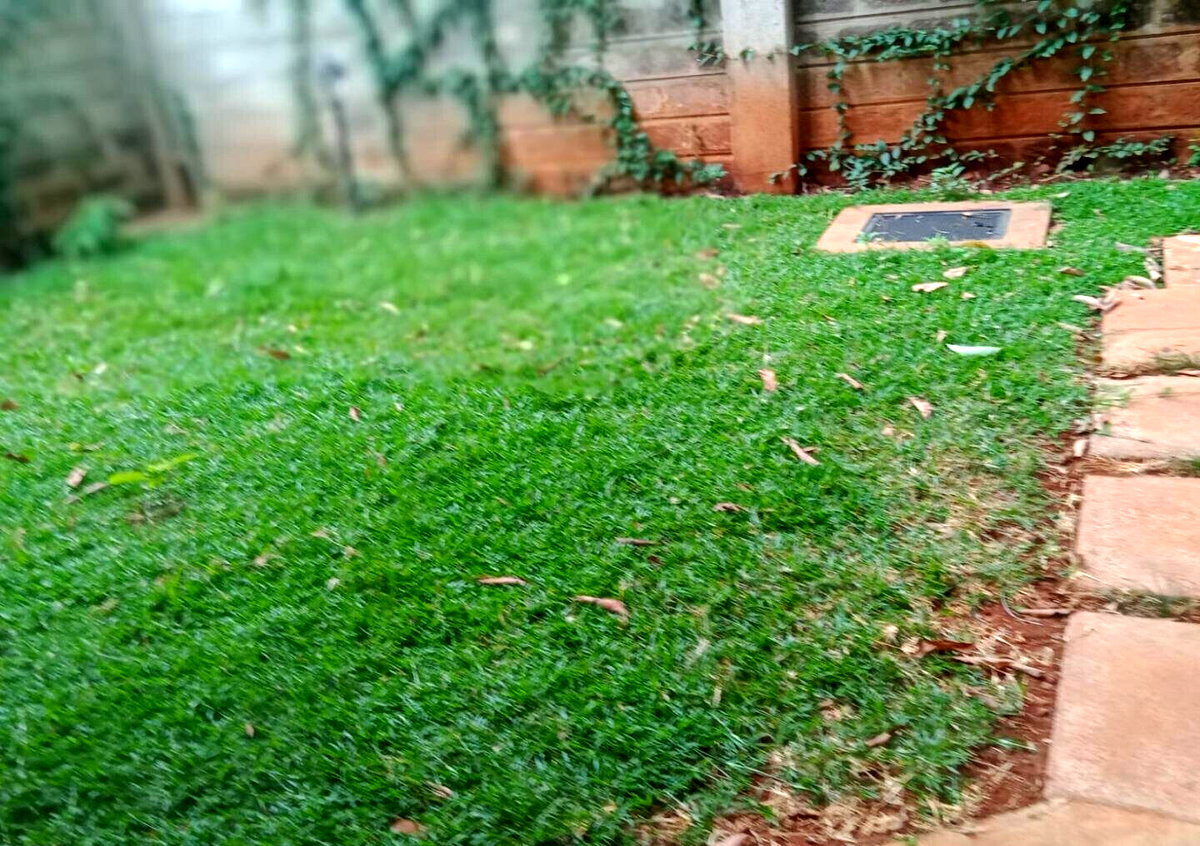 Brand New 5-Ensuite Townhouse with 2 DSQs - Lavington