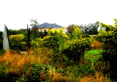 0.3 Acre Plot in Westlands with Garden