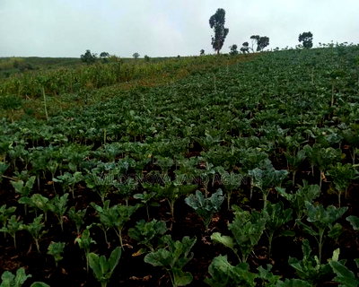 2 And) 1/2 Acre on Sale at Ihindu Naivasha Only 1km Frm Rd - Image 1