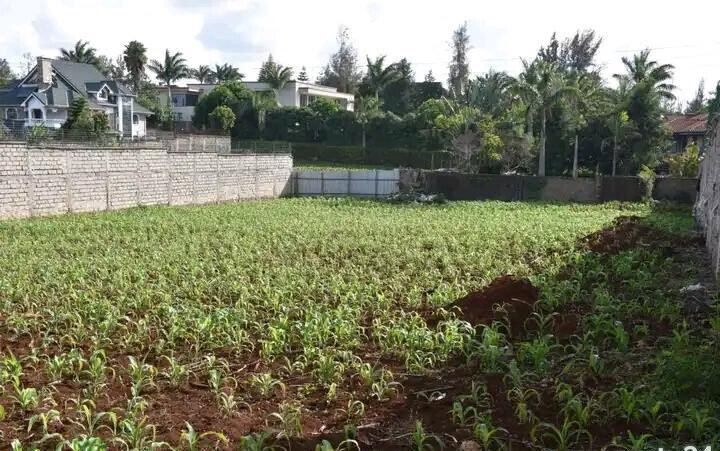 Half Acre Garden Plot in Runda