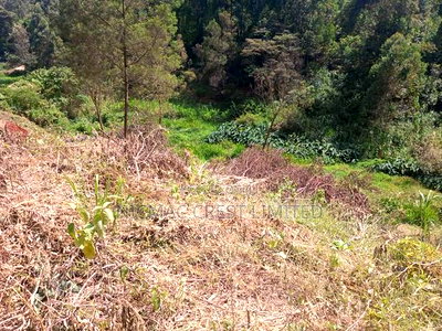 50*100 Plots for Sale in Gachie, Kihara - Image 2