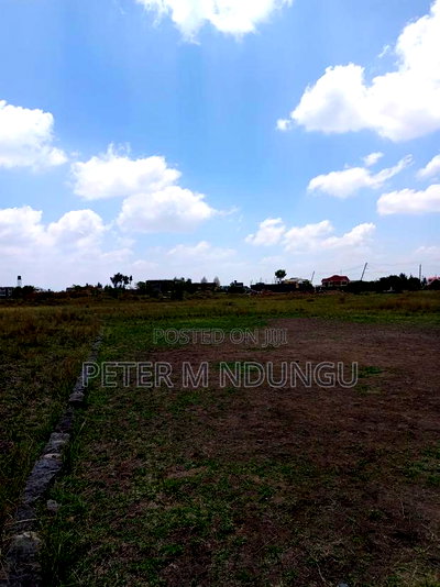 Commercial Land 40*80, Title - Image 4