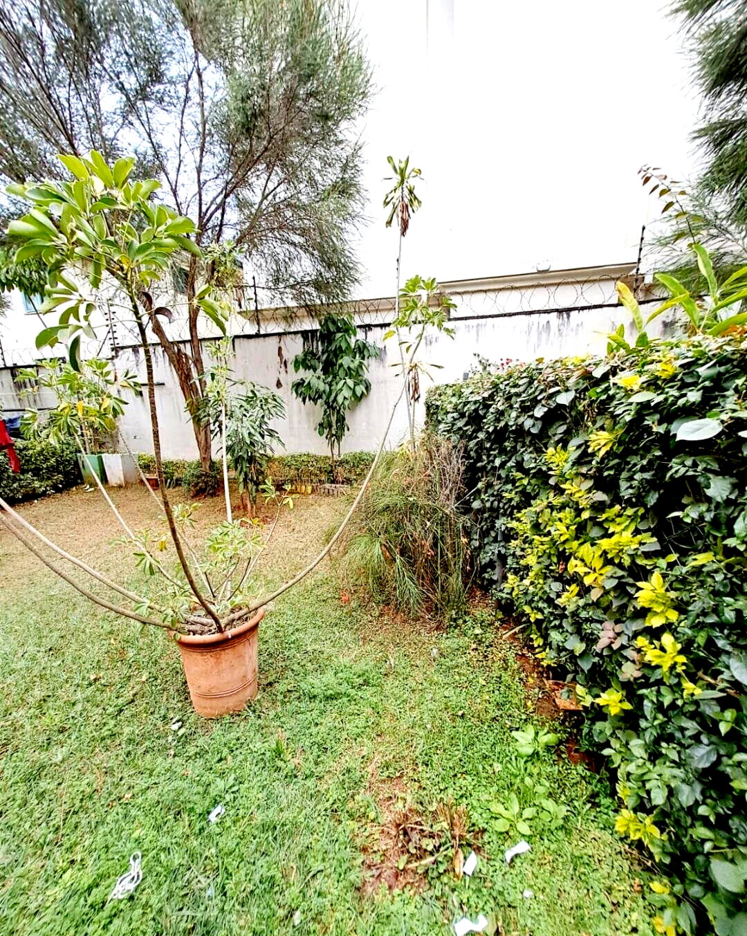 5-Bed Townhouse with Solar Hot Water & Gym - Lavington