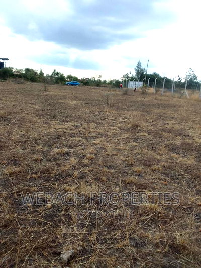 Prime 1/4 Plot (100*100) FOR SALE Katani,Mother Theresa - Image 1