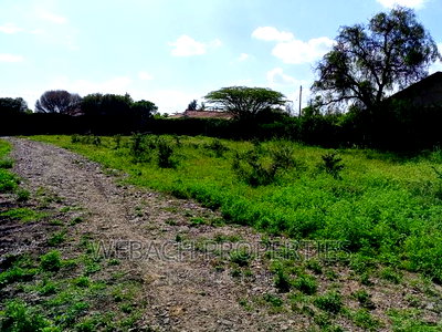 Prime 1/4 Plot (100*100) FOR SALE Katani,Mother Theresa - Image 7