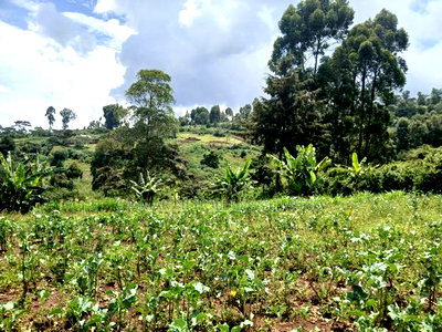 Distress Sale! Prime Half Acre in Kahara, Ngong - Image 2
